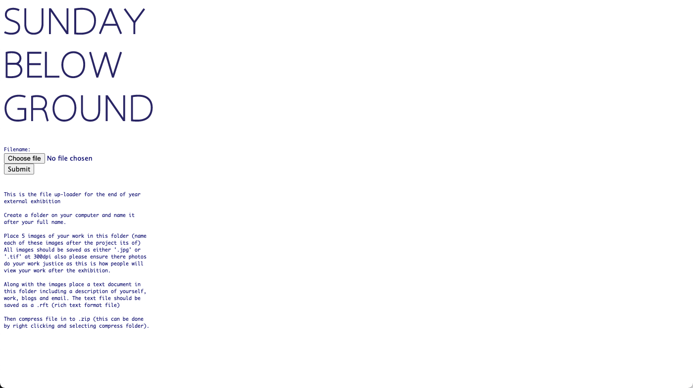 <p>Hidden on the URL was also the file upload for fellow students to upload assets for the catalogue website and exhibition guide. </p>